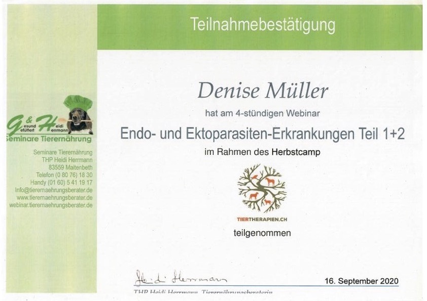 Endo- & Ektoparasiten