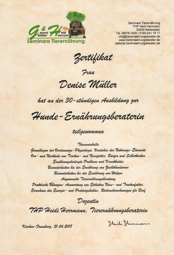 HundeernährungsberaterIn