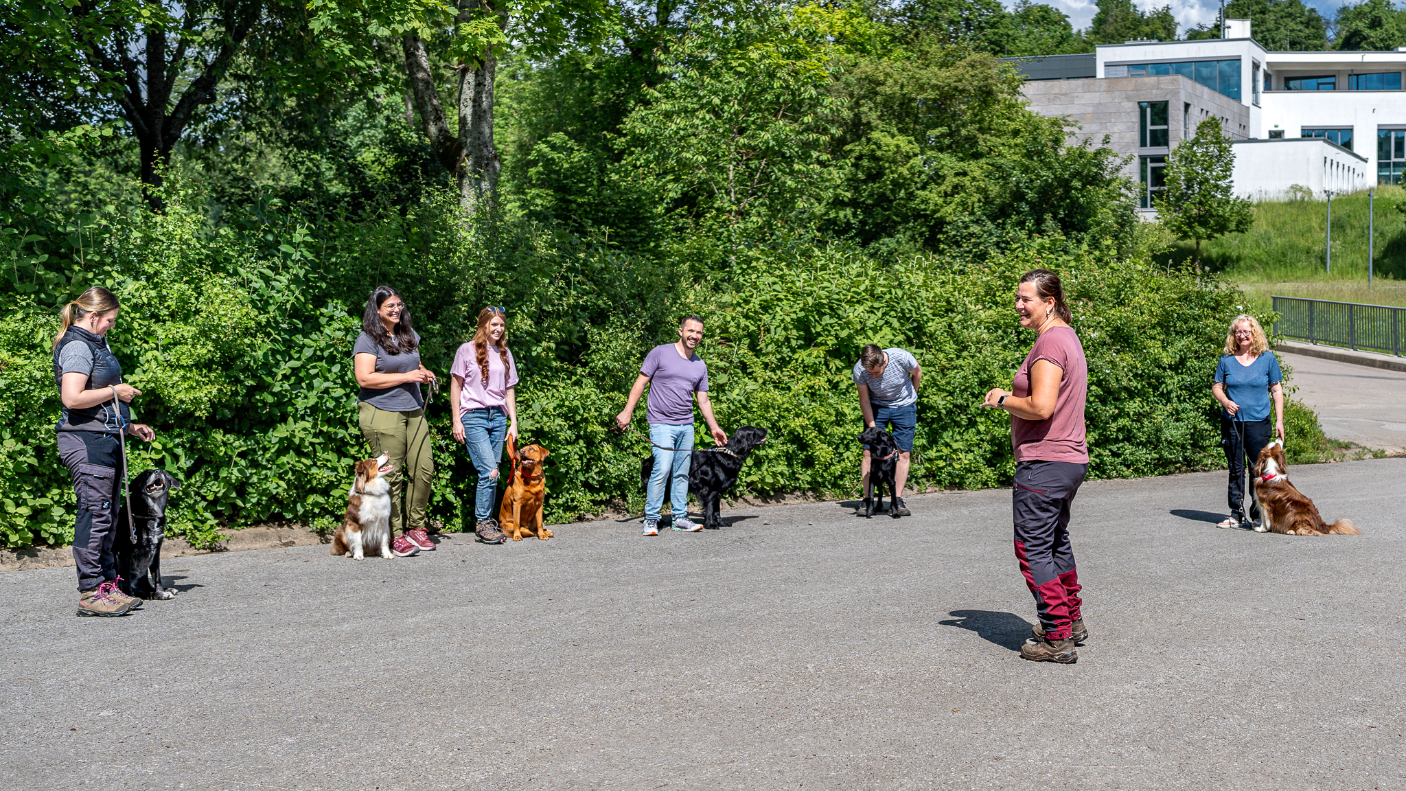 Gruppennbild mehrere Hundebesitzer