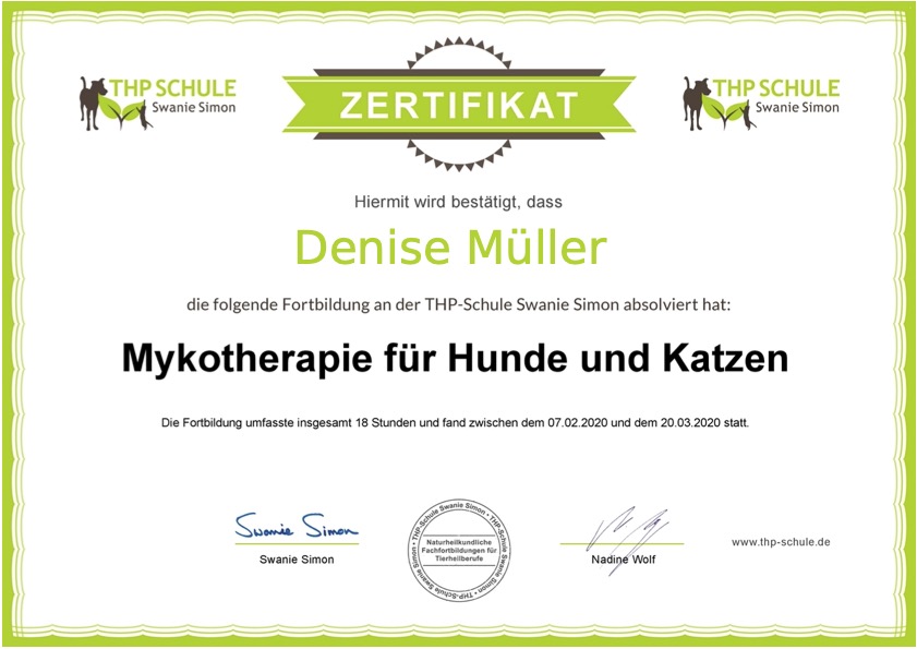 Mykotherapie