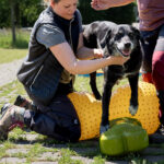 Stonie und Abby peanut
