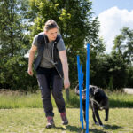 Stonie und Abby slalom