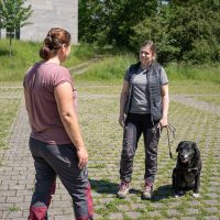 Stonie u d ich im Einzelcoaching